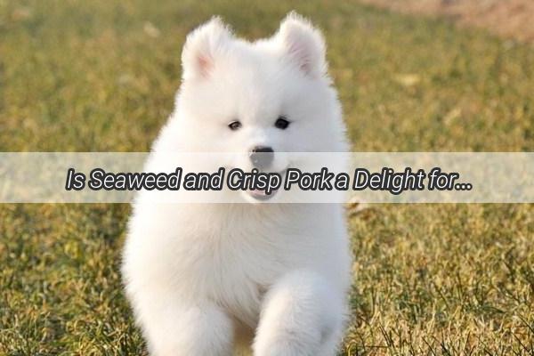 Is Seaweed and Crisp Pork a Delight for Your Furry Friend Discover the Truth About Dog Treats